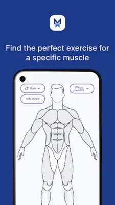 MuscleWiki android App screenshot 4